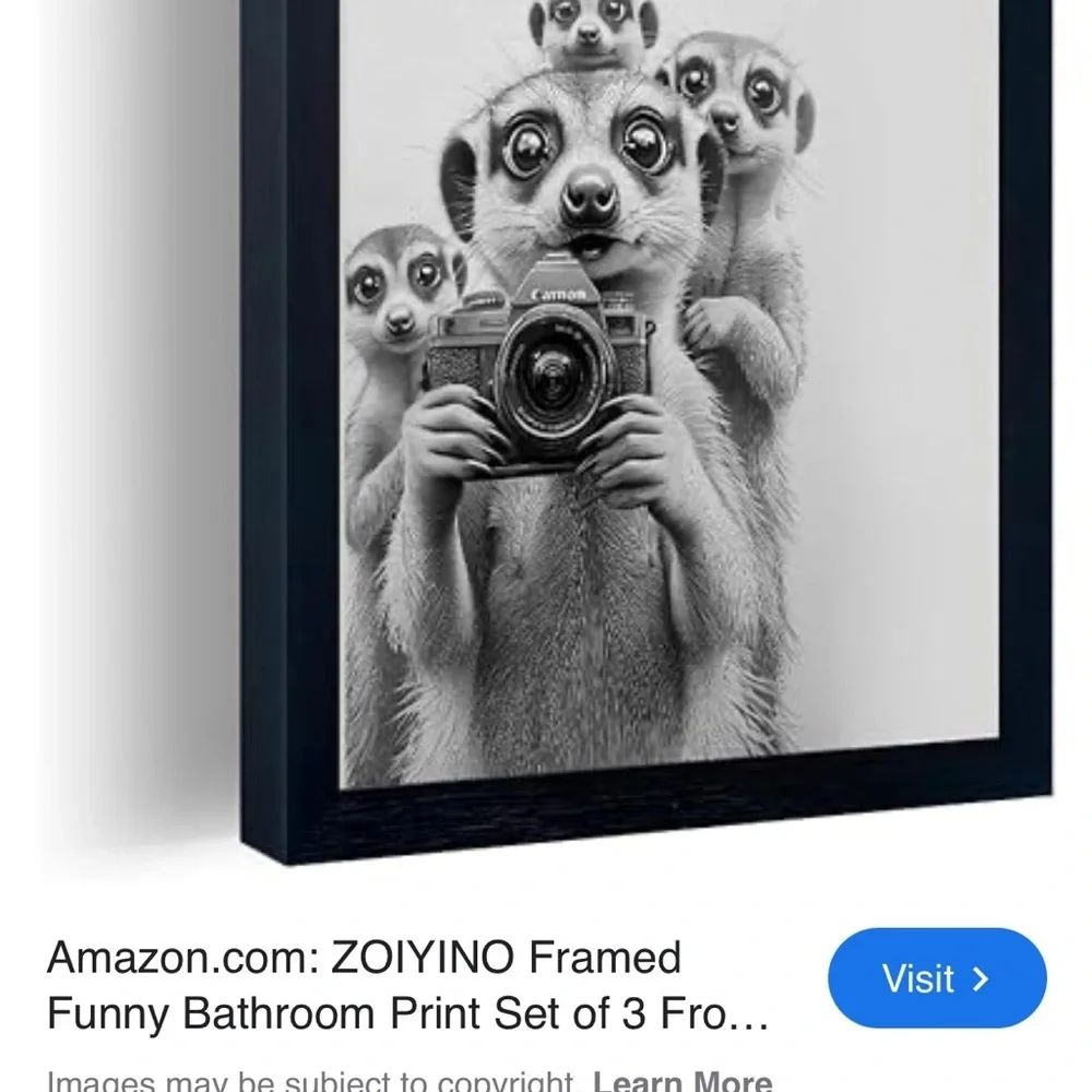 NWT Frame Bathroom Wall Art Black and White Canvas Wall Art “11x14” Meerkat